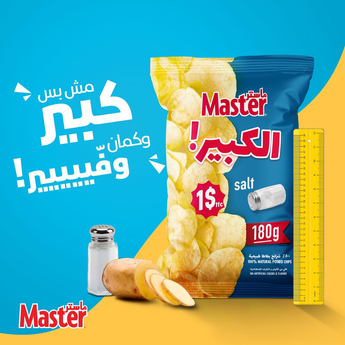 Master chips 1$