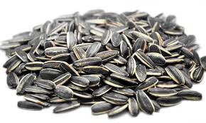 sally sunflower seed 65g